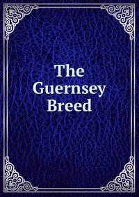 The Guernsey Breed