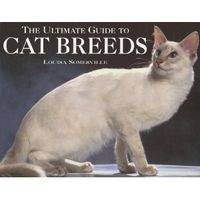Ultimate Guide to Cat Breeds