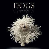 Dogs. Gods