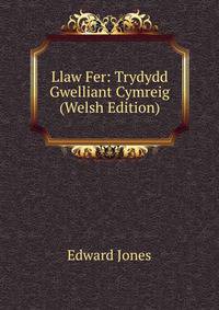 Llaw Fer: Trydydd Gwelliant Cymreig (Welsh Edition)