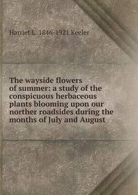 The wayside flowers of summer: a study of the conspicuous herbaceous plants blooming upon our norther roadsides during the months of July and August