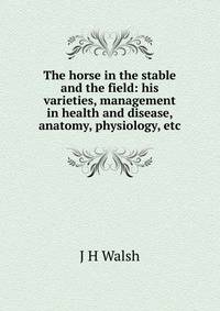 The horse in the stable and the field: his varieties, management in health and disease, anatomy, physiology, etc.