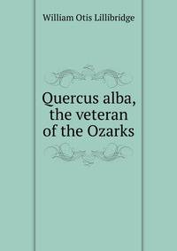 Quercus alba, the veteran of the Ozarks