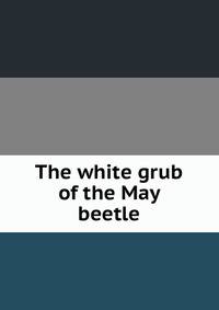 The white grub of the May beetle