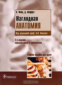 Наглядная анатомия
