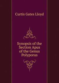 Synopsis of the Section Apus of the Genus Polyporus