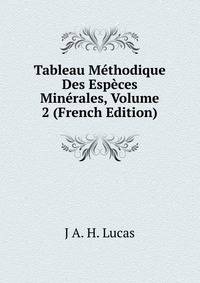 Tableau Methodique Des Especes Minerales, Volume 2 (French Edition)