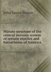 Minute structure of the central nervous system of certain reptiles and batrachians of America