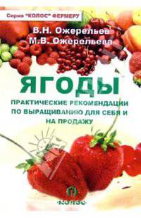 Ягоды. Практические рекомендации по выращиванию для себя и на продажу