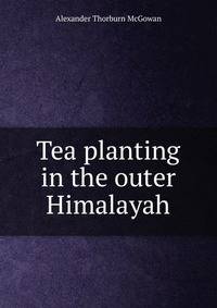 Tea planting in the outer Himalayah