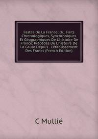 Fastes De La France; Ou, Faits Chronologiques, Synchroniques Et G?ographiques De L'histoire De France: Pr?c?d?s De L'histoire De La Gaule Depuis . L'?tablissement Des Franks (French Edition)