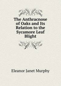 The Anthracnose of Oaks and Its Relation to the Sycamore Leaf Blight