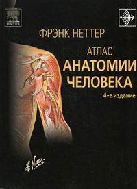 Атлас анатомии человека