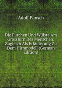 Die Furchen Und Wulste Am Grosshirn Des Menschen: Zugleich Als Erlauterung Zu Dem Hirnmodell (German Edition)