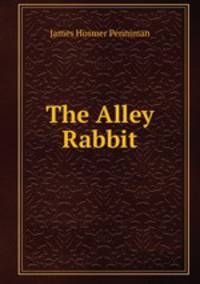 The Alley Rabbit