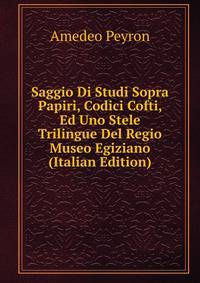 Saggio Di Studi Sopra Papiri, Codici Cofti, Ed Uno Stele Trilingue Del Regio Museo Egiziano (Italian Edition)