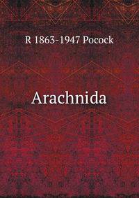 Arachnida