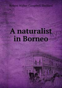 A naturalist in Borneo