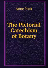 The Pictorial Catechism of Botany