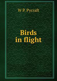 Birds in flight