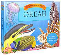 Ночной лес. Книга-панорама