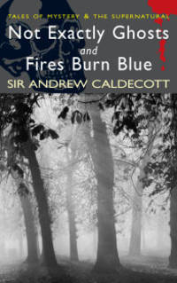 Not Exactly Ghosts / Fires Burn Blue
