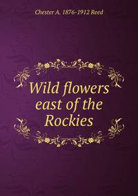 Wild flowers east of the Rockies