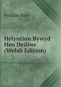 Helyntion Bywyd Hen Deiliwr (Welsh Edition)
