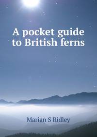 A pocket guide to British ferns