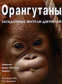 Орангутаны