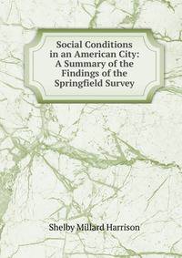 Social Conditions in an American City: A Summary of the Findings of the Springfield Survey
