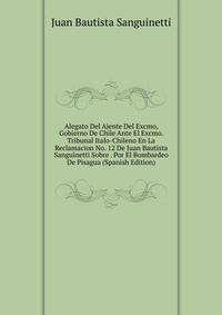 Alegato Del Ajente Del Excmo, Gobierno De Chile Ante El Excmo. Tribunal Italo-Chileno En La Reclamacion No. 12 De Juan Bautista Sanguinetti Sobre . Por El Bombardeo De Pisagua (Spanish Edition)