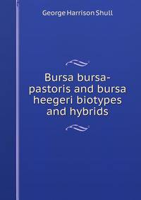 Bursa bursa-pastoris and bursa heegeri biotypes and hybrids
