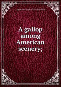A gallop among American scenery;