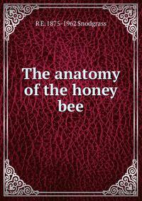 The anatomy of the honey bee