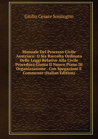 Manuale Del Processo Civile Austriaco: O Sia Raccolta Ordinata Delle Leggi Relative Alla Civile Procedura Giusta Il Nuovo Piano Di Organizzazione . Con Spegazioni E Commente (Italian Edition)