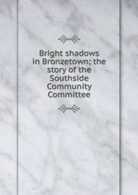 Bright shadows in Bronzetown; the story of the Southside Community Committee