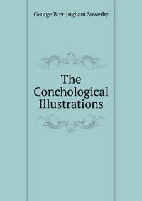 The Conchological Illustrations