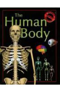 The Human Body: Giant Pop-Up Poster