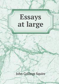 Essays at large