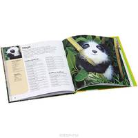 Удивительные амигуруми