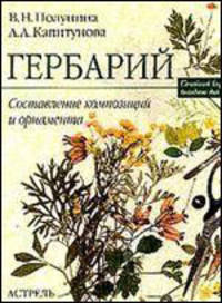Гербарий. Составление композиций и орнамента