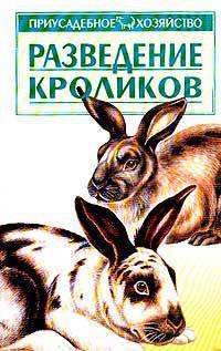 Разведение кроликов .