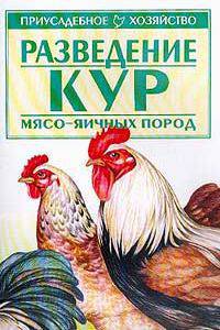 Разведение кур мясо - яичных пород .