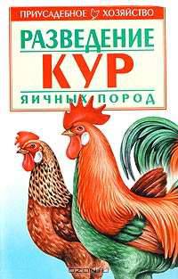 Разведение кур яичных пород