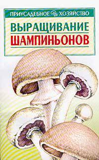 Выращивание шампиньонов .