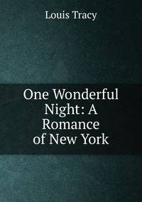 One Wonderful Night: A Romance of New York