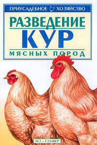 Разведение кур мясных пород