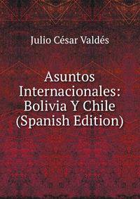 Asuntos Internacionales: Bolivia Y Chile (Spanish Edition)