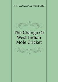 The Changa Or West Indian Mole Cricket